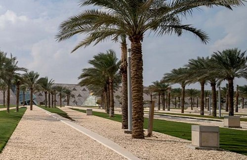The Palm Garden