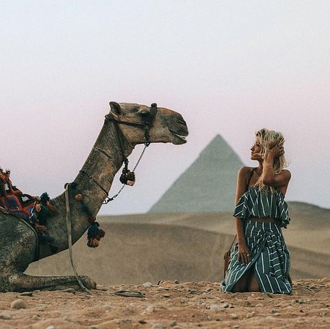 Cairo 8 Hour Private Tour of Pyramids & Grand Egyptian Museum