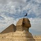  “Perfect timing — the guardian of Giza meets the king of the sky.”